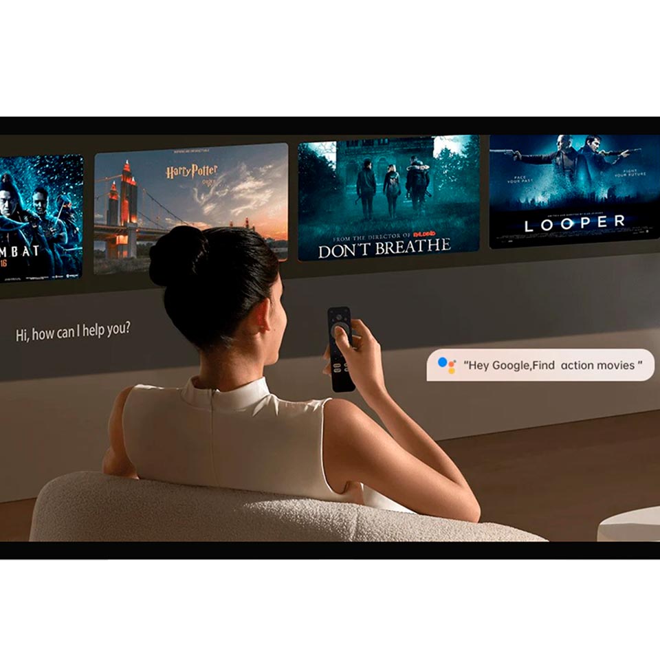 Control Remoto Wanbo